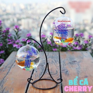 Hồ cá mini đôi hình chữ X 07 ( Tặng kèm combo 03 phụ kiện trang trí )