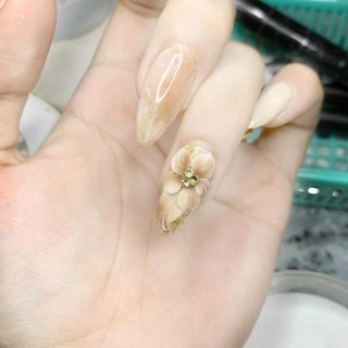 Hoa bột nail _ hoa nail đính móng(  hoa tay )