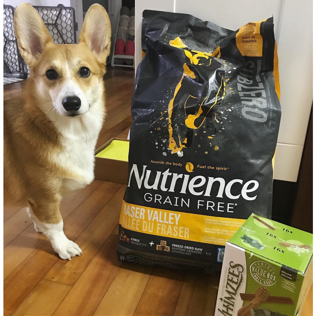 Thức Ăn Hạt Cho Chó Corgi - Nutrience Subzero Bao 2,27kg - Thịt Gà Tây, Cá Hồi, Rau Củ Quả, Trái Cây