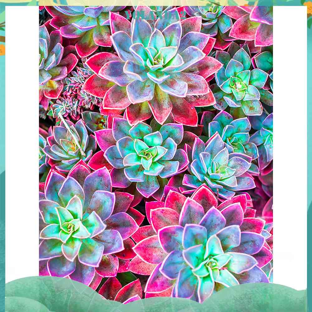 Bộ Tranh Đính Đá 5D Tự Làm Hình Chậu Cây Mọng Nước Đầy Màu Sắc