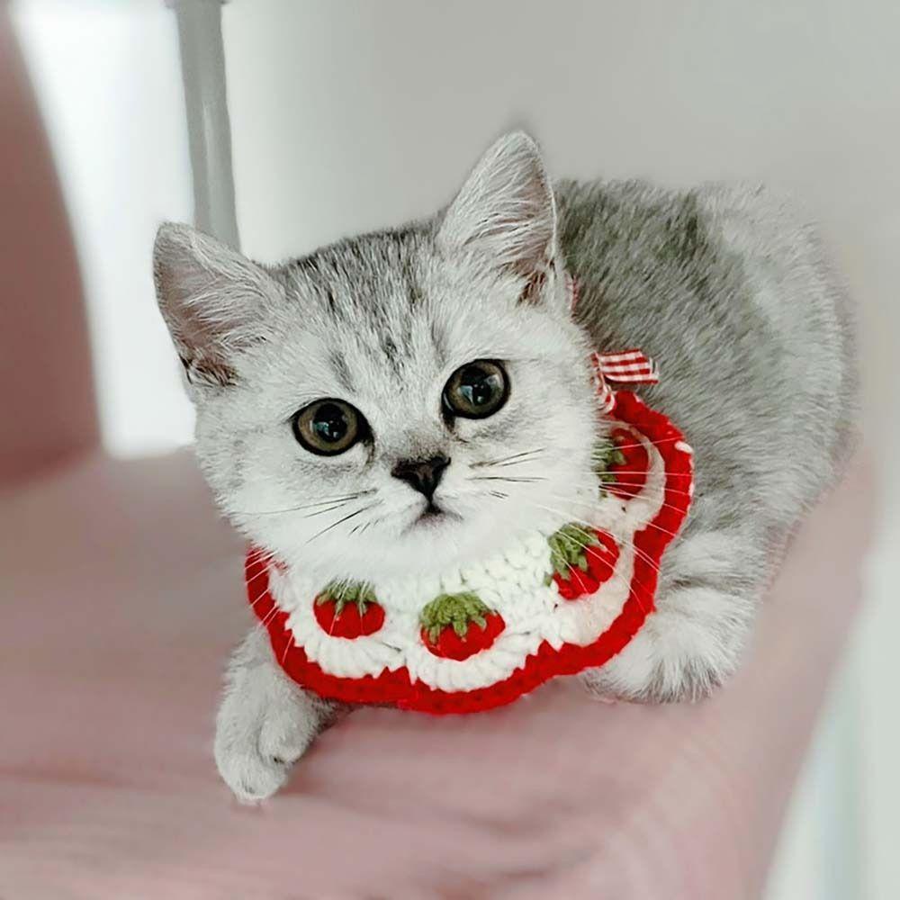 Vòng Cổ Đan Len Màu Đỏ Dành Cho Thú Cưng
