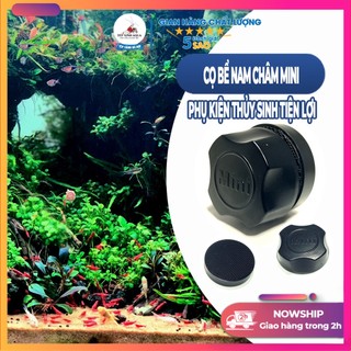 Cọ bể nam châm – Lau kính nam châm bể cá mini – Tép xinh aqua