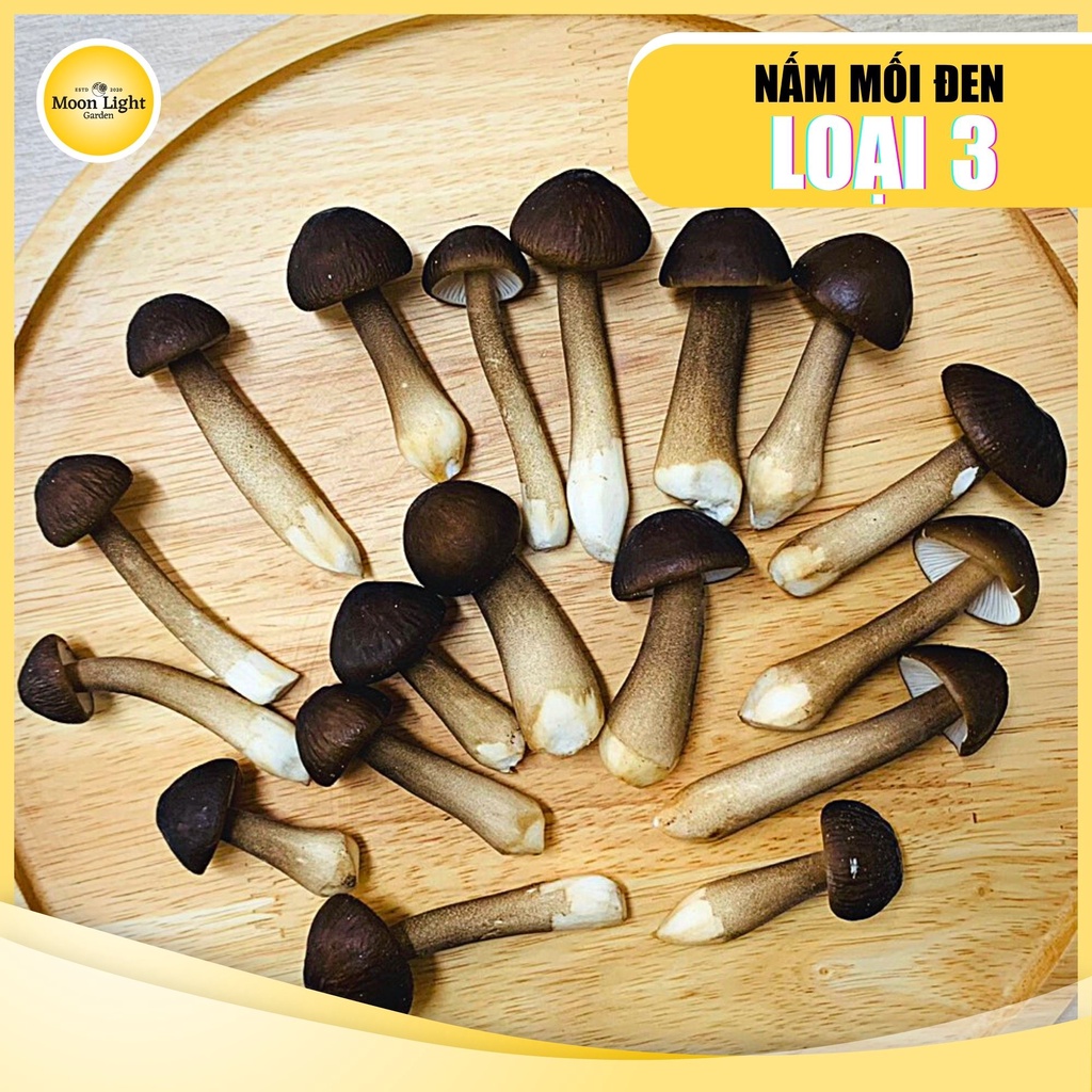 Nấm Mối Đen Loại 3 – Nấm Mối Đen Tươi Chất Lượng 1kg