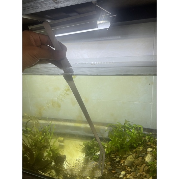 Nhíp trồng cây thuỷ sinh - kẹp thức ăn cho pet