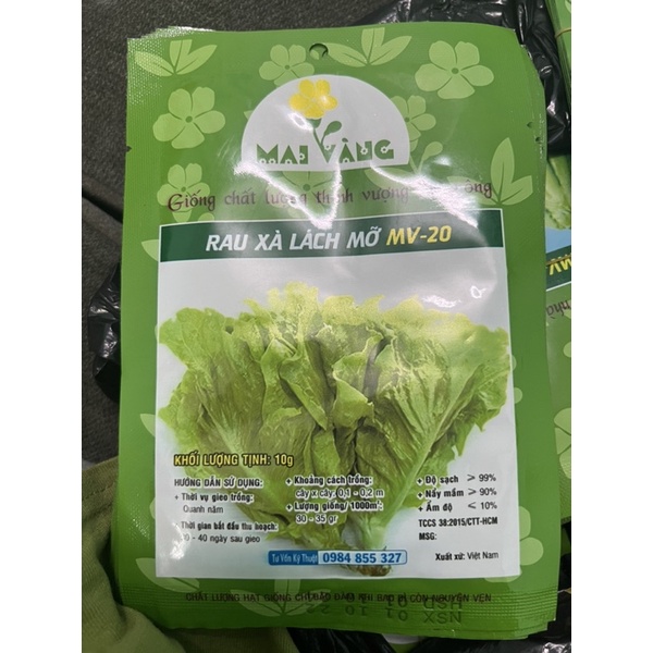 Hạt giống xà lách xoăn xanh, xà lách mỡ dễ trồng