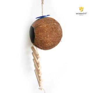 Tổ Chim Bằng Vỏ Dừa Độc Đáo