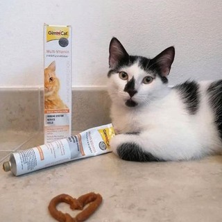 GimCat Gel Dinh Dưỡng Đủ Loại dành cho Mèo 50G - chuẩn nhập khẩu từ Đức | Vitamin | Urinary | Hairball | Kitten