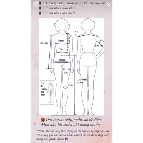 Áo croptop dài tay cúp ngực tay voan tiểu thư kèm lót mút - Thiết kế Sugargalz