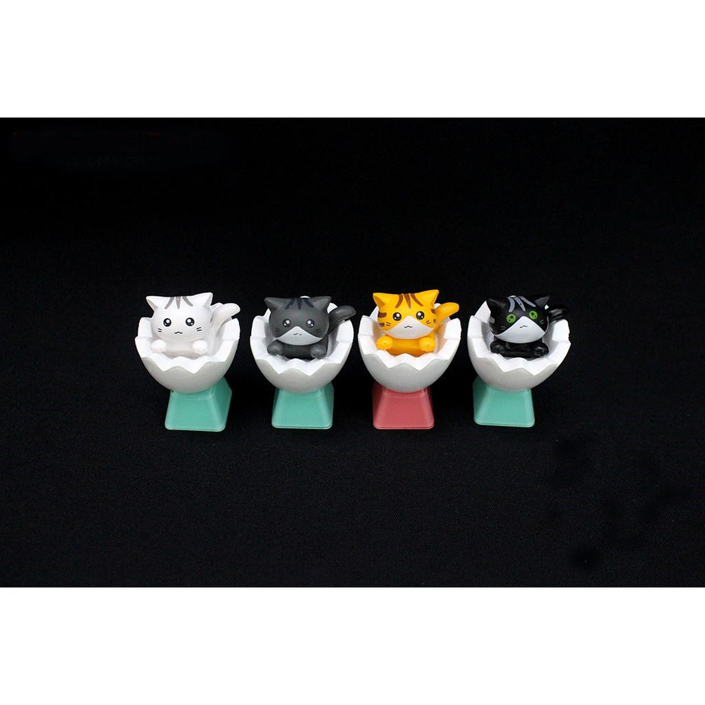 Keycap mèo trong hộp, trong trứng