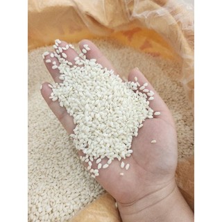 Nếp cái hoa vàng thơm ngon thượng hạng túi 1kg
