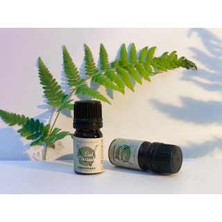Tinh dầu sả chanh nguyên chất nhà của thời thanh xuân 10ml, 50 ml, 100 ml, treo 5 ml, bộ khuếch tán 50 ml, 100 ml