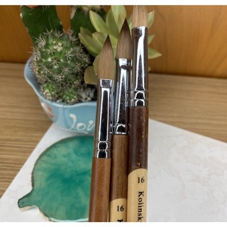 Cọ đắp bột nail kolinsky germany cán gỗ 2 màu