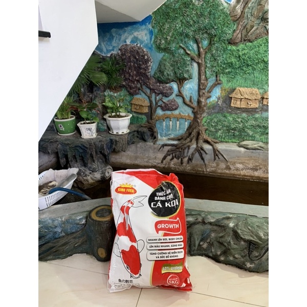 Thức ăn cá Koi KINGFEED bao 5kg giá rẻ tăng trưởng tăng màu