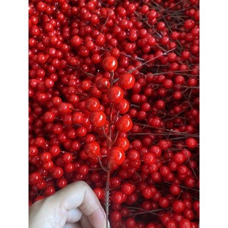 Combo 5 chùm quả cherry đỏ bóng