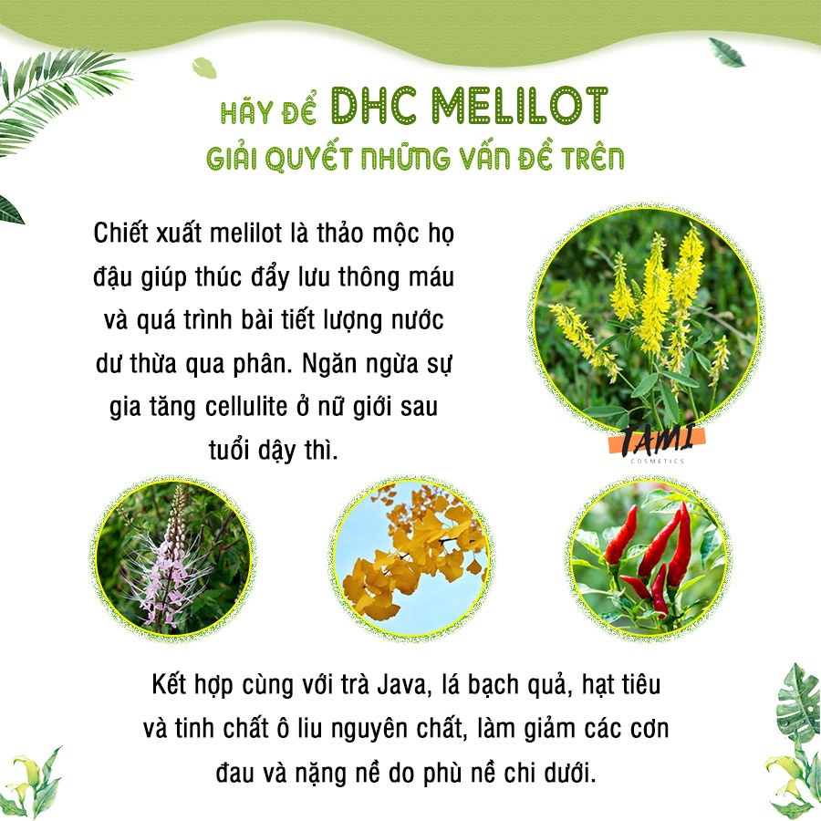 Viên uống làm thon gọn đùi Melilot DHC Nhật Bản thực phẩm chức năng bài tiết nước dư thừa gói 30 ngày XP8-DHC-MEL30