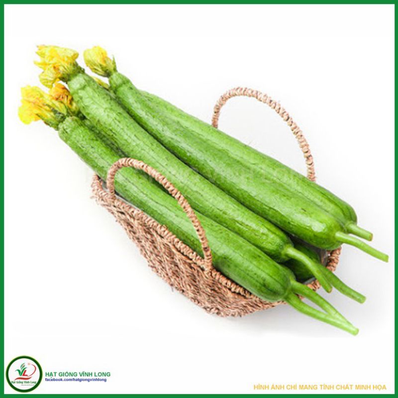 Hạt Giống Mướp Hương ta Siêu Thơm