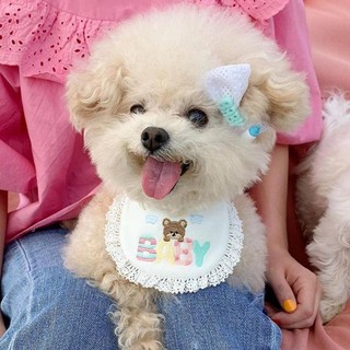 Yếm đeo cổ hình gấu teddy / lựu đạn dễ thương cho thú cưng