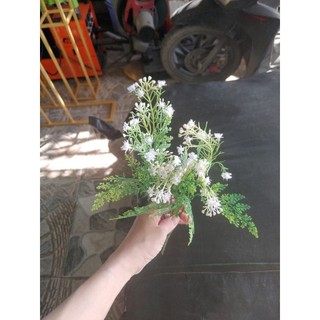 Cụm điểm bi xòe dùng cắm bình bông, trang trí nhà cửa