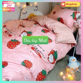 Bộ 1 Ga Chun 2 Vỏ Gối Nằm combo 3 món Poly GẤU