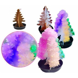 Cây thông noel nở thần kỳ tự nở ra hoa tuyết nhiều màu