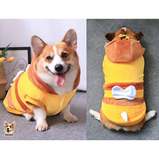 Áo Cho Chó To - Áo Thu Đông Cho Corgi, Samoyed, Golden chất Nhung Bông Hình Con Ong
