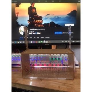 Box đôi dưỡng tép
