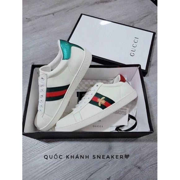 Giày gucci ong cao cấp ( FREE SHIP) giày thể thao nam trắng buộc dây kèm hộp