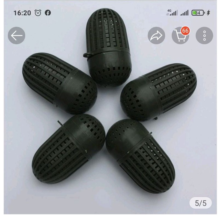 Hom trúm tre bắt lươn , bắt trạch