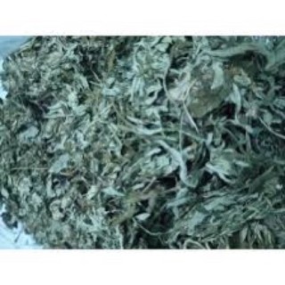 Cây ngải cứu khô