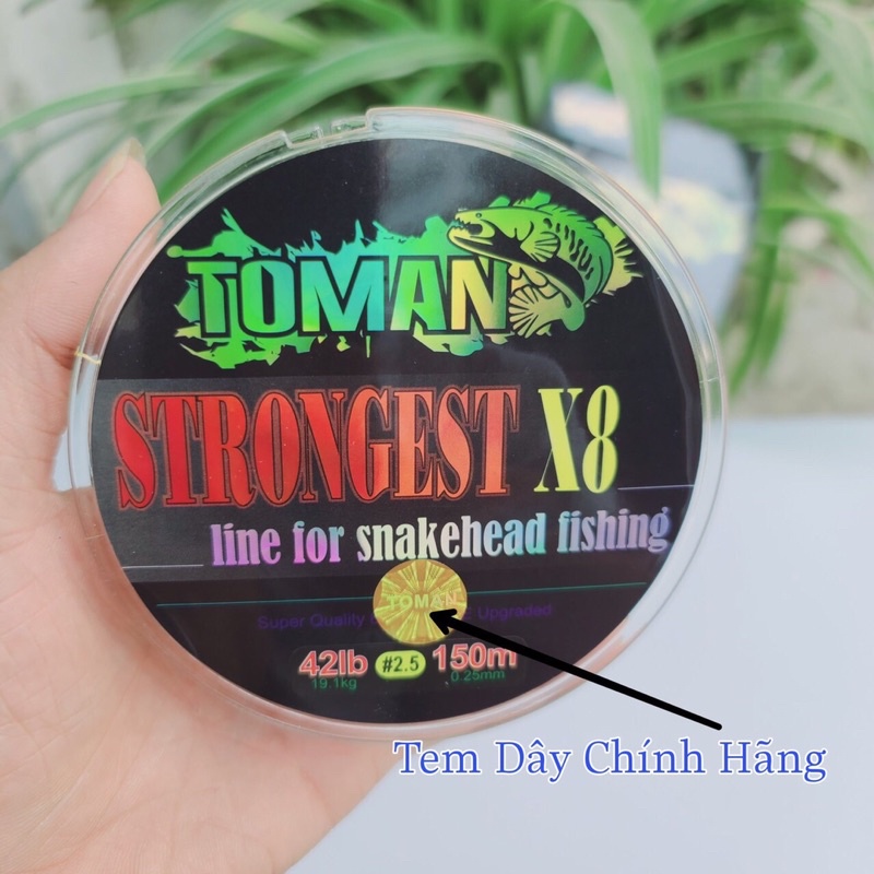 Dù câu lure Toman siêu khoẻ không co dãn chuyên săn hàng