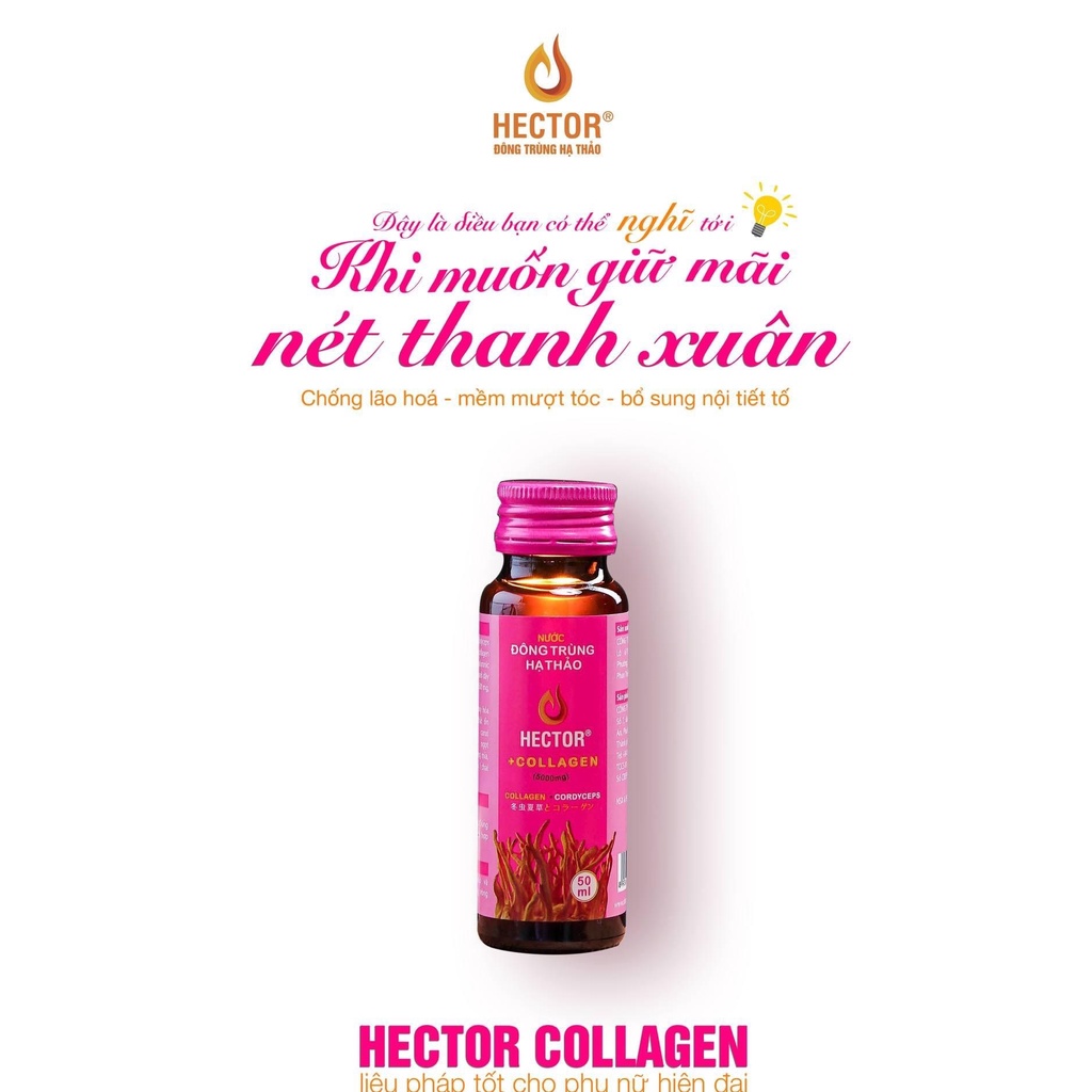 Hector Collagen - Đông Trùng Hạ Thảo kết hợp Collagen 5000mg dạng nước