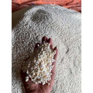 10KG NGÔ ( BẮP) NẾP XAY TO XUẤT KHẨU , XAY NHỎ NẤU BẮP HẤM VÀ BẮP HẠT KHÔ