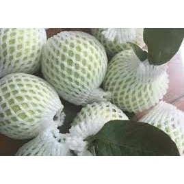 Xốp bọc trái cây size 15cm