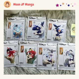 Mô hình standee Haikyuu ver Cospa