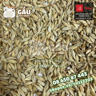 500gr lúa mạch cho hamster, vẹt, sóc