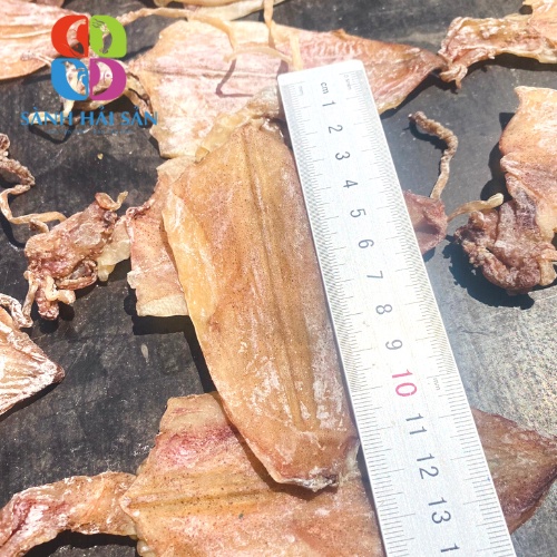 Combo 25 Con Mực Khô Mini Size 100-120Con/kg Chuẩn Mực Câu Cô Tô , Mực Câu Phơi Khô Thủ Công, Dày Thịt - SanhHaiSan