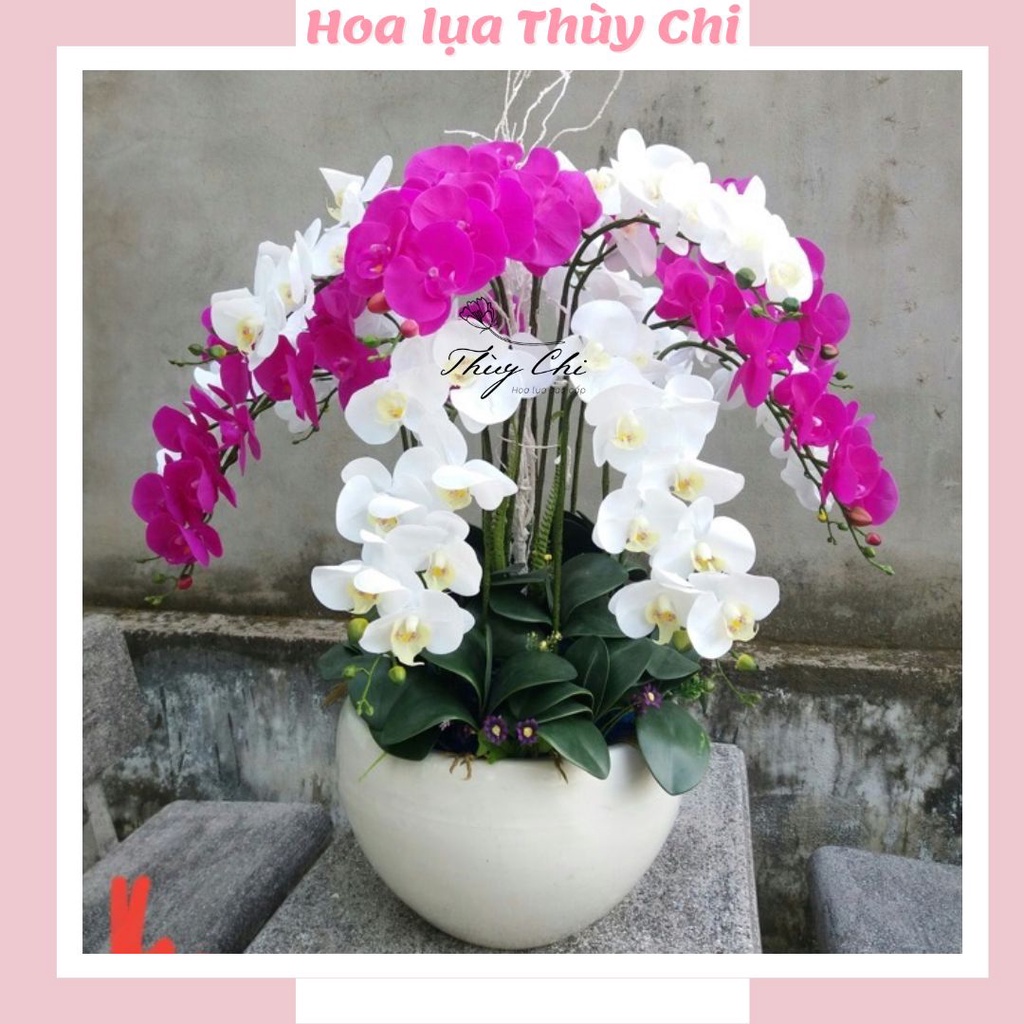 Hoa giả,hoa lụa - Bông lan hồ điệp 9 bông, hàng loại 1