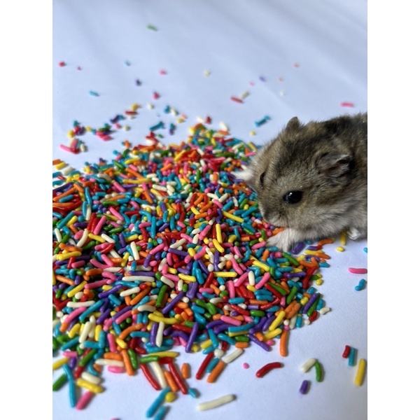 Kẹo cốm Vitamin cho Hamster và thú nhỏ 35g