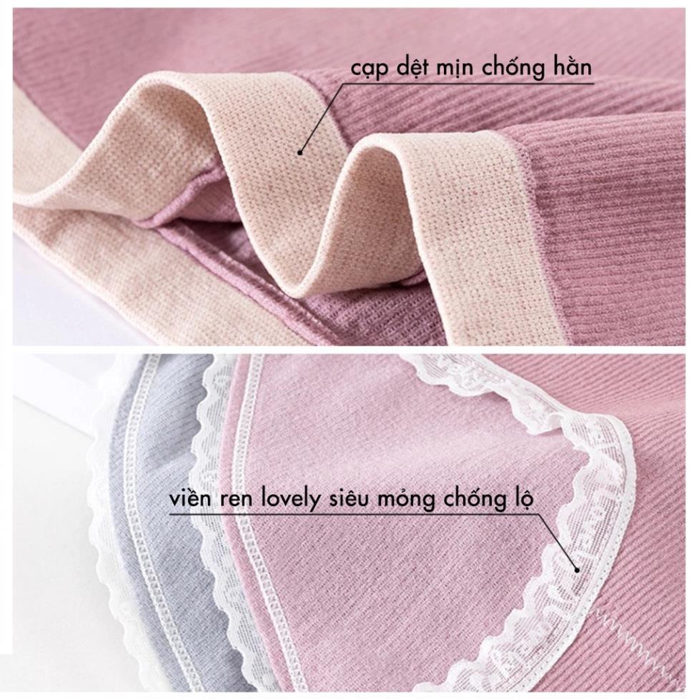 Quần lót nữ kháng khuẩn cạp vừa chất cotton tăm mịn - freesize - quần chip nữ havana FLQ80