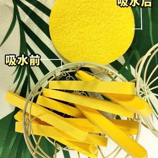 Bông Nở Rửa Mặt Bọt Biển Chivey ( Túi 12 chiếc)