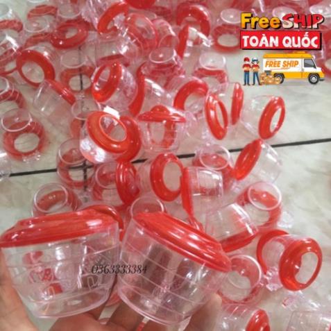 Cóng chim chào mào cóng chim khuyên cóng nhựa Cóng họa mi Lacoda phụ kiện chim cảnh