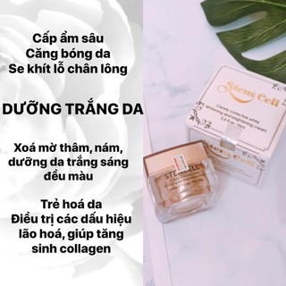 Stem cell trắng