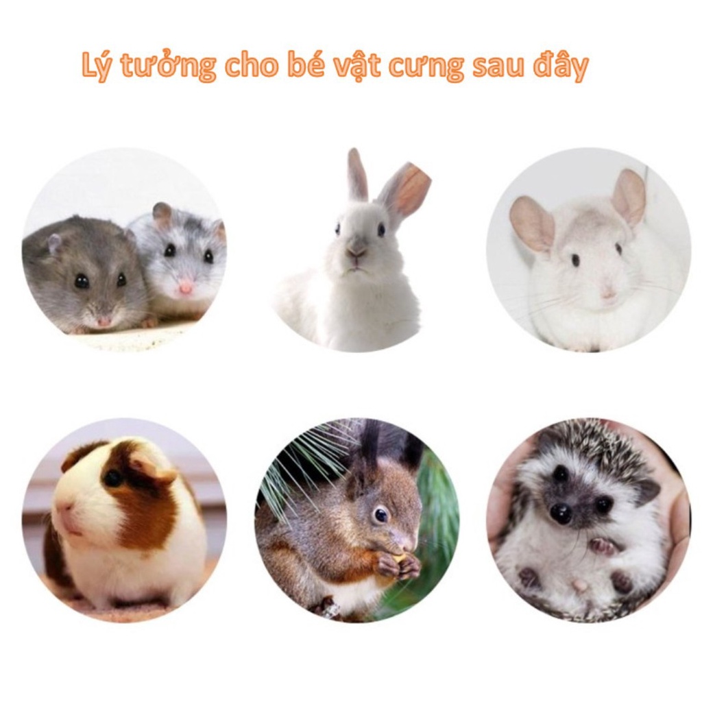 Bánh sushi ăn dặm mài răng cho Hamster, guinea pig, thỏ, sóc bắc mỹ, chinchilla