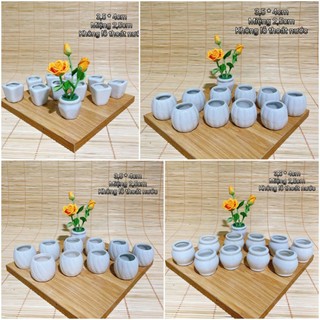 Combo 10 chậu cắm hoa gốm sứ mini