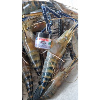 TINH MÙI CÂU TÔM SÔNG LỌ 30ml