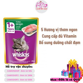 PATE WHISKAS DATE XA CHO MÈO TRƯỞNG THÀNH