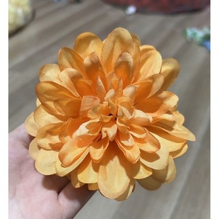 ĐẦU BÔNG HOA THƯỢC DƯỢC CAO CẤP