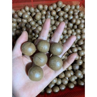 Hạt Macca DakLak Hũ 500g