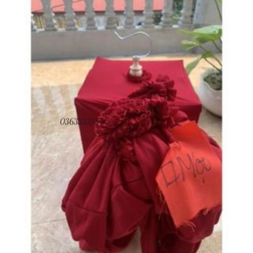 Áo lồng chim Pkchim áo lồng chào mào phụ kiện chim cảnh