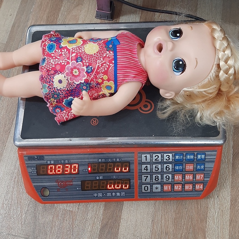 Búp Bê Mỹ Baby Alive Hasbro Doll